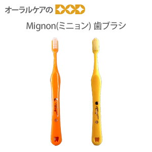 y}\IP2{IzyzCi quV ~j Mignon ǂuV 20{y[։ 2Zbg܂Łz