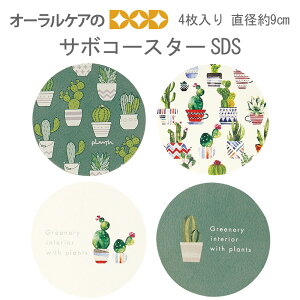 SDS T{R[X^[ 炩]yR[X^[ 4 a 9cm y[։ 1܂Łzyz