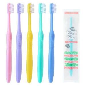 yzyyVC[OXӍՁIz20{ LbY Shu&Shu VV uV 6`12 qpy[։ 2Zbg܂Łz