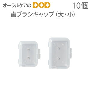 yzy11/1IP2{IzuVLbv E 10y[։ 10Zbgi100j܂Łz