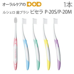 yzy}\IP2{IzVF uV sZ P-20S^P-20M 1{y[։ 20{܂Łz