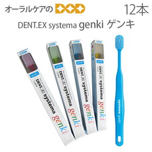 �y�������z�y�}���\������IP2�{�I�z12�{ ���C�I�� ���ȗp Dent. Systema genki ��l�p���u���V�y���[���֕s�z�y���������z