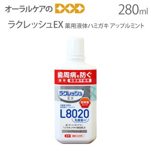 yX[p[Z[IP2{IzyzNbVEX L8020_ pt̃n~KL 280mly[֕sz