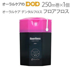 yzI[PA f^tX tAtX 250m 1y[֕sz