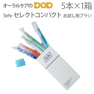 y12/1IP2{IzyzTePe ey ZNgRpNg p 5{ uVyfUCzy[։ 2Zbg܂Łz