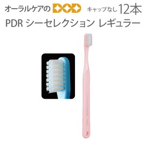 yzy11/1IP2{Iz12{ PDR uV V[ZNV M[ LbvȂy[։ 3Zbg܂Łz