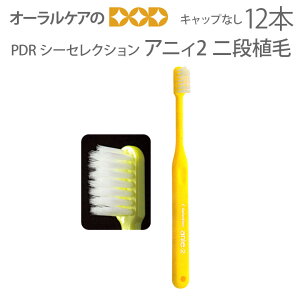 y11/1IP2{IzPDR quV V[ZNV AjB2 iA LbvȂ WjA c 4FA\[g 12{y[։ 3Zbg܂Łz