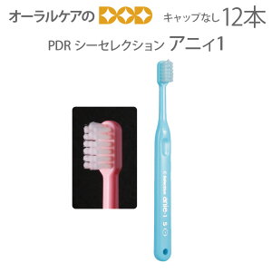 y11/1IP2{IzPDR quV V[ZNV AjB1 LbvȂ WjA c 12{y[։ 3Zbg܂Łz