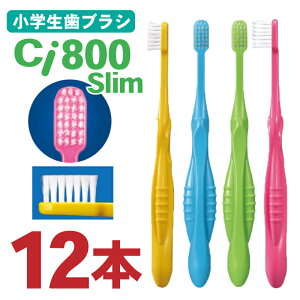 uV q Ci800 slim 12{ Ȉꔄ \h w wN  tbg 4FA\[g ӂ 炩 