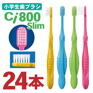 uV q Ci800 slim 24{ Ȉꔄ \h w wN  tbg 4FA\[g ӂ 炩 