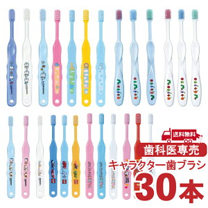 uV q ܂Ƃߔ LN^[ 30{Zbg Ȉ@ꔄ Ci fBJ {