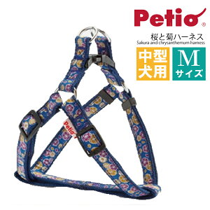 p n[lX ^  Ƌe M u[   