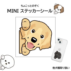  ̂ ~jXebJ[ V[ IWi V[ X}z G Ԃɓ\ ԃXebJ[ XebJ[ ` Č S[fg[o[ h[x} pO   v[g 킢