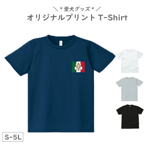 IWi vg TVc (S-5L)   { {eA Č Hc ` Xsbc  킢 vg 