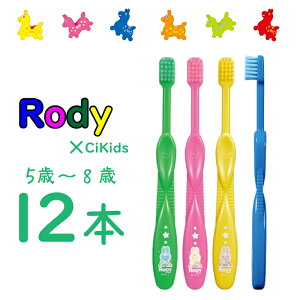 CiLbY fB Ȑꔄ qp uV 12{ MS 炩 