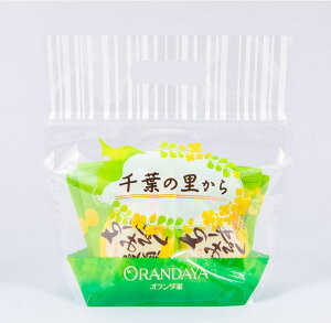 [݂邭\@6܁@I_Ɓ@Mtg@َq@t@`[Y@@\Mtg O  XC[c َq yY A j j Ԃ  i oY