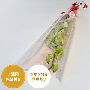 ft@1{bsO{tې葲ƁE@\EʉȂǂɁI
