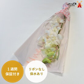 楽天市場 デンファレ 花束 切花 花 観葉植物 花 ガーデン Diyの通販