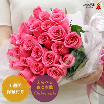 楽天市場 バラ 生花 1本108円 1週間の花持ち保証付き オランダ屋 トップページ