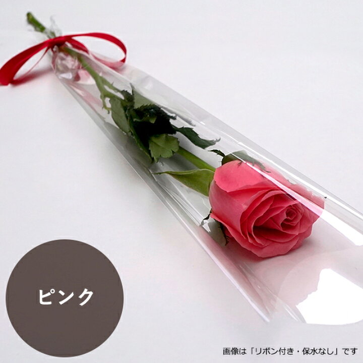 楽天市場 バラ 1本ラッピング 保水あり 10 99本の注文 オランダ屋