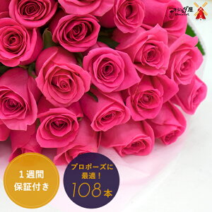 生花 バラ108本の人気商品 通販 価格比較 価格 Com