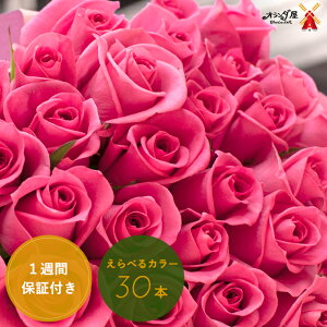 ピンク 薔薇 花束の人気商品 通販 価格比較 価格 Com