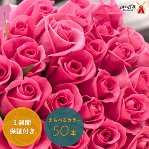 バラ 切花の人気商品 通販 価格比較 価格 Com