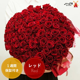 【12月〜3月のお届け専用】赤バラ 花束 15本以上で送料無料 お好きな本数で