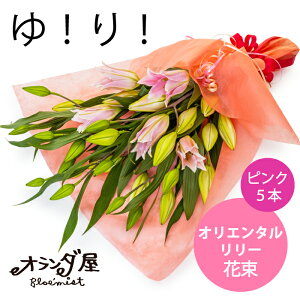 IG^[ysN5{z ԑu[P  S   ؉ ~ AW    ފ  ~̉ ފ V~ d   ybg  O