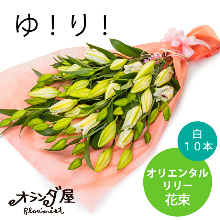 手数料安い オランダ屋お任せブーケ こだわりホワイト グリーンブーケ 花で笑顔 花束 ギフト 花屋 白 緑 Rmladv Com Br 手数料安い オランダ屋お任せブーケ こだわりホワイト グリーンブーケ 花で笑顔 花束 ギフト 花屋 白 緑 Rmladv Com Br