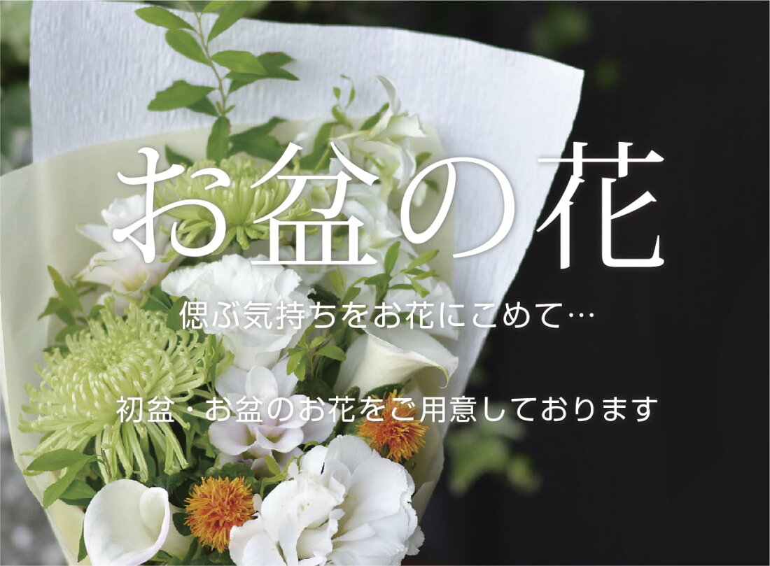 楽天市場 バラ 生花 1本108円 1週間の花持ち保証付き オランダ屋 トップページ 楽天市場 バラ 生花 1本108円 1週間の花持ち保証付き オランダ屋 トップページ