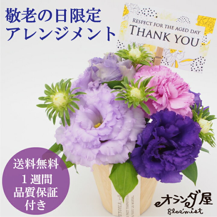 楽天市場 バラ 生花 1本108円 1週間の花持ち保証付き オランダ屋 トップページ