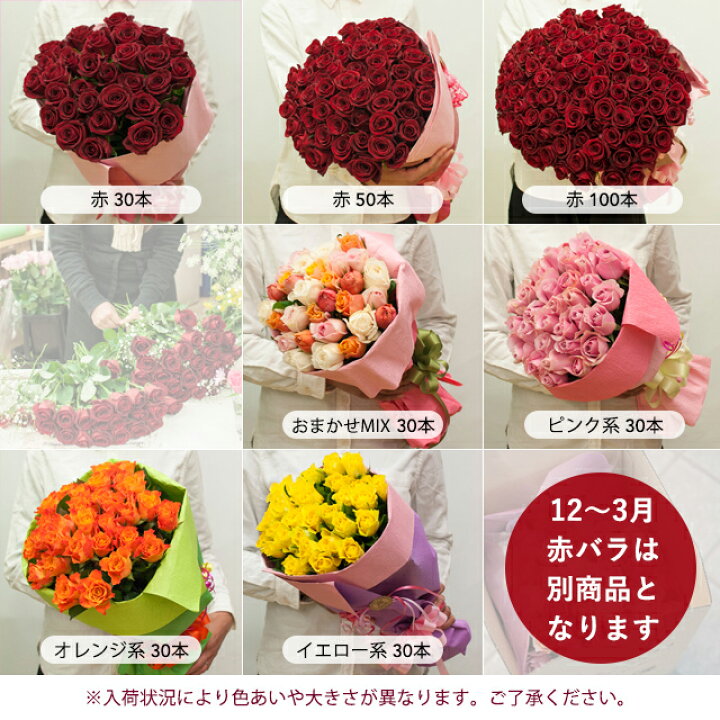 楽天市場 本数 色が選べる １本からok バラ の 花束 １８本以上で送料無料 敬老の日 薔薇 ブーケ 記念日 誕生日 結婚記念 還暦 赤 ピンク ギフト 華やか フラワーギフト プロポーズ オランダ屋