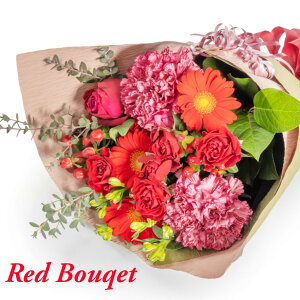 ԑyI_Cu[Pz背bhu[P  Mtg u[P  hV hV̓ vw̓ vȂ̓ Ε a LO LO j   ŒZ 1 