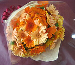 ピンク 花束 ガーベラ 生花の人気商品 通販 価格比較 価格 Com