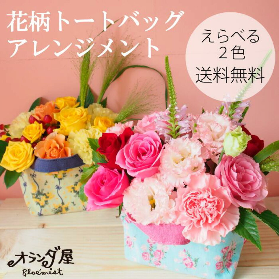 楽天市場 バラ 生花 1本108円 1週間の花持ち保証付き オランダ屋 トップページ