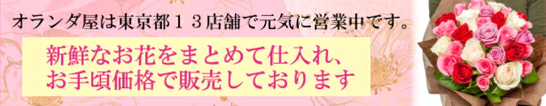 楽天市場 バラ 生花 1本108円 1週間の花持ち保証付き オランダ屋 トップページ
