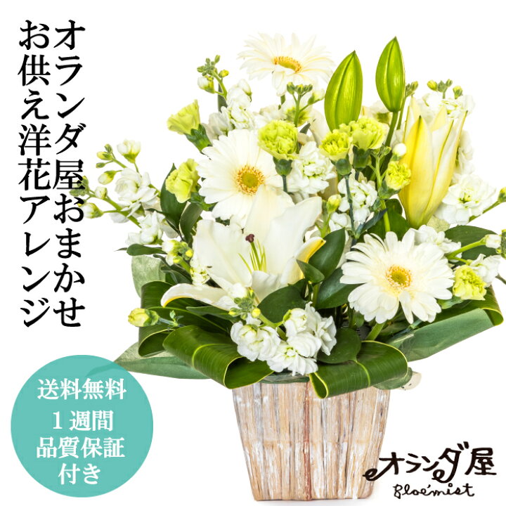 楽天市場 バラ 生花 1本108円 1週間の花持ち保証付き オランダ屋 トップページ 楽天市場 バラ 生花 1本108円 1週間の花持ち保証付き オランダ屋 トップページ