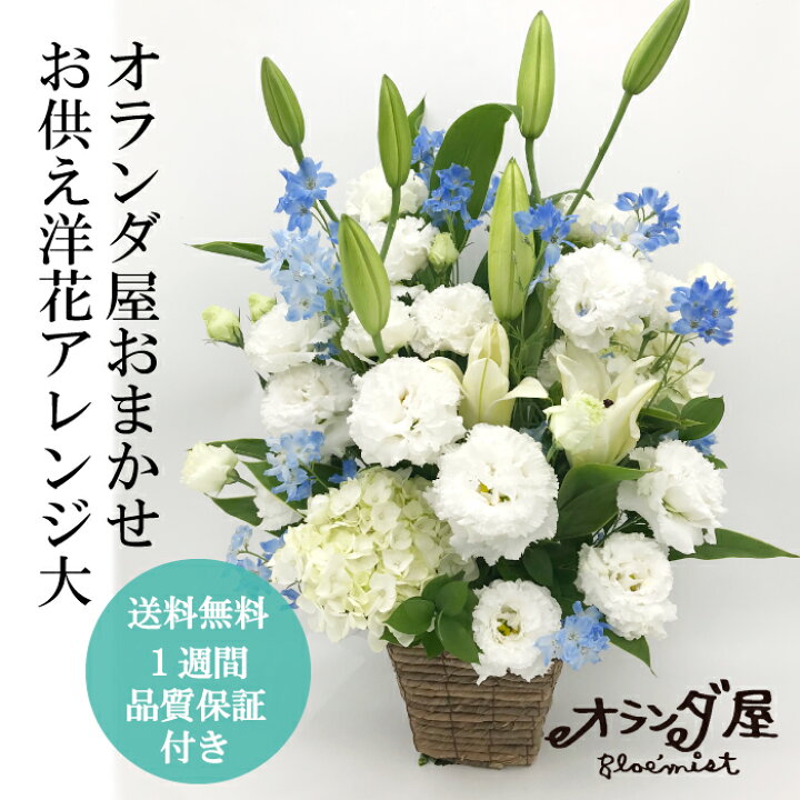 楽天市場 バラ 生花 1本108円 1週間の花持ち保証付き オランダ屋 トップページ 楽天市場 バラ 生花 1本108円 1週間の花持ち保証付き オランダ屋 トップページ