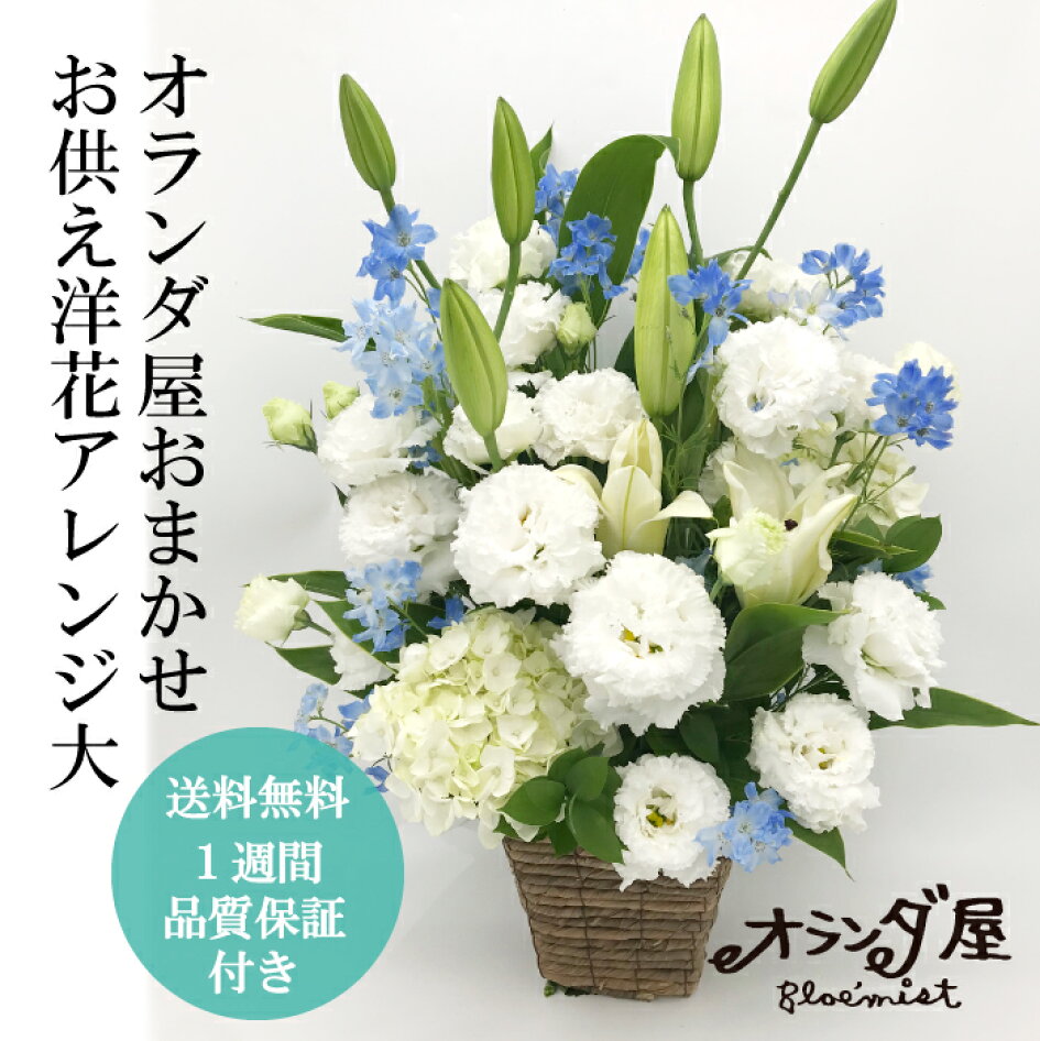 楽天市場 バラ 生花 1本108円 1週間の花持ち保証付き オランダ屋 トップページ