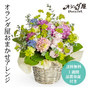 I_܂AW  AWg JXj LO  Mtg