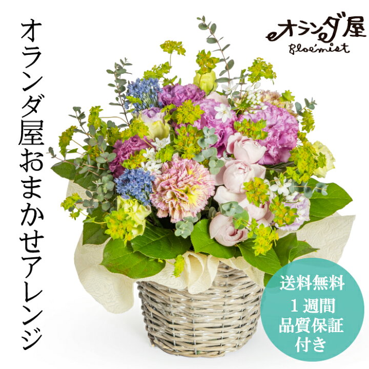 楽天市場 バラ 生花 1本108円 1週間の花持ち保証付き オランダ屋 トップページ