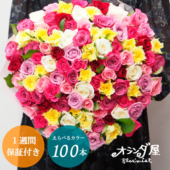 楽天市場 ゴージャス 色がえらべる バラ100本の花束 品質保証 送料無料 プロポーズ ブーケ 誕生日 結婚記念日 還暦 赤 ピンク 黄色 バラ１００本 花束 いい夫婦の日 オランダ屋