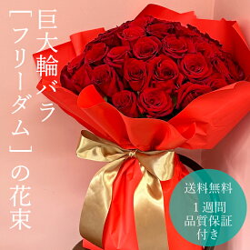 巨大輪 赤バラの花束【本数が選べる】【10本からOK！】愛妻の日 バレンタイン 薔薇 ブーケ 記念日 誕生日 華やか フラワーギフト プロポーズ プレゼント フリーダム