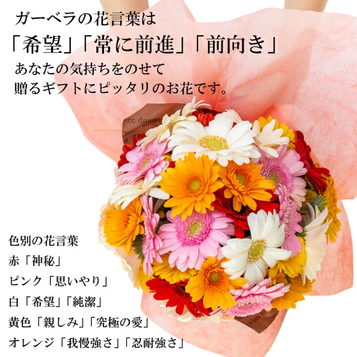 【 ガーベラのブーケ 】ガーベラ 花束 あす楽 10本からOK! 花言葉は「希望」「前向き」 花 ギフト 卒園 卒業 フラワーショップ オランダ屋 生花 ガーベラ ニュアンスカラー 10本 切り花 アレンジ 花束 元気色