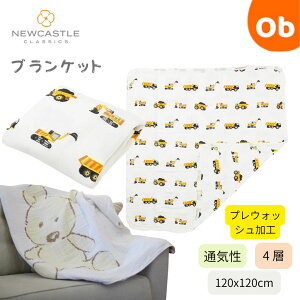 y12/4@20`@Xő|Cg21{@vGg[zNewcastle Classics uPbg Yellow Diggery Eꕔnz@NX}XNX}X