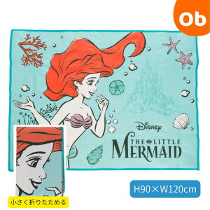 fBYj[ vZX g}[Ch AG Ou[ W[V[g TCY@ylR|Xz