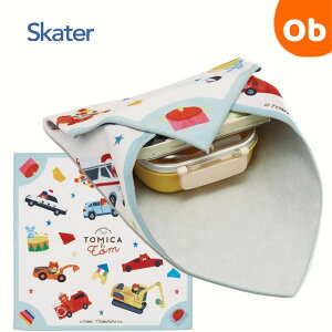 Skater `NX g~Jƃg 43cm KBST43 ylR|Xz@NX}X