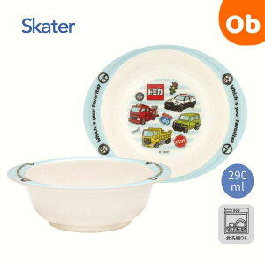 y11/20@20`@Xő|Cg21{@vGg[zSkater ou[~{E g~J M34B 290ml@NX}X