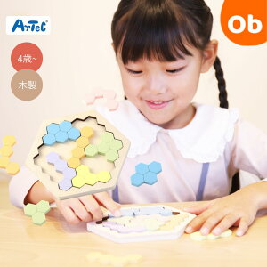 Artec MiraTOY@ؐwLTSpY pXeJ[ylR|Xz